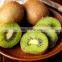 Natural Organic Kiwi Fruit Extract with Superior Quality