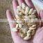 high quality  Automatic Peanut Roaster Sunflower Seeds Chickpea Cocoa Bean Cashew Nut Roasting Machine Price