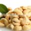 Dried Cashew Nut/Cashew Kernel from Vietnam