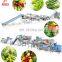 High efficiency mushroom washing cutting processing machine