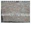 cheap price Rose de Norvege, pink marble