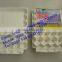 Paper Pulp Egg Tray Professional Factory