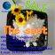 High Purity Health Supplement CAS:157115-85-0 Fubeilai