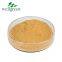 Dong Quai Root Extract Chinese Angelica Extrat Sinensis Dong Powder Ligustilide Powder