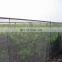 Best Price Agriculture HDPE Plastic Anti Insect Mesh Insect Proof Net