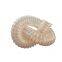Polyurethane Spiral Duct Workshop Vacuum Ventilation Telescopic Hose