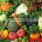 Automatic 2 in 1 weighing and packaging/packing machine