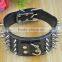 Large Spiked Dog Collar For Hunting Dogs