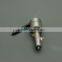 DLLA142P2262 nozzle holder 0 445 120 289 bosch common rail injector forISDe