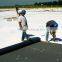 Roofing membrane green TPO /waterproofing membrane