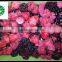 IQF frozen mixed berries