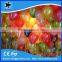 HOT SALE 9 inch party/advertising latex round balloons