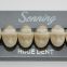 Huge Dental Sonning Full set Acrylic Denture Teeth