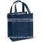 Custom Non Woven Picnic&fitness Cooler Lunch Bag for Frozen Food Quality Choice