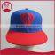 baby hat snapback cap,cap snapback ,design your own snapback