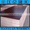 China Marine plywood ,Film Faced Plywood For Middle East Market