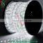 13mm Tube Size 3wire Warmwhite Rope Light Led