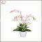 2016 high quality artificial plant flower all holiday occasion white butterfly orchid