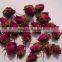 Dried Rose buds
