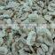 Frozen mushroom champignon whole/sliced