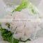 2016 hot-selling instant konjac noodle