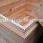 Beekeeping factory customize honey bee hives/bee hive tool/chinese bee hive