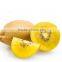 best quality new chinese kiwifruit brand