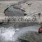 deep well solar water pump system