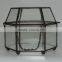 Indoor decoration clear glass plant terrarium hanging terrarium geometric