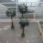 Top fake coconut tree good price UV snow&decay artificial palm tree
