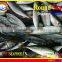 FROZEN MARUADSI WHOLE ROUND (ROUND SCAD)