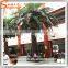 artificial date palm tree hight quatily landscaping garden decoration fiberglass large colorful coconut palm tree for sale