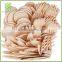 Hot Sale Disposable Wooden Utensils Wooden Cutlery