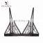 Supplier Romantic Soft Morden Ladies Underwear Sexy Bra New Design