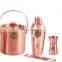 DA /LFGB Approved copper plated stainless steel cocktail shaker set with jigger