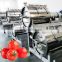 Large capacity line production of tomato paste machines line