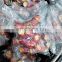 Wholesale High Quality Fresh Red Ginger from Vietnam