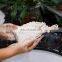 Shower Double Layer Bubble Foam Natural Sisal Soap Bags Soap Exfoliating Bags Soap Mesh Bag