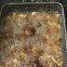 Silica for Fryer Oil Purification by Filtration