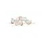 Foton Auman/Aumark/Miler/Land Pioneer Weichai Engine Gearbox Zf/Fast Truck Spare Parts 1b24956100002 Plastic Bolt