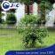 Anti Bird Protection Netting for Airport,greenhouse Net , Anti Bird Protection Net,plastic Anti Bird Net
