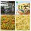 popular Top quality small vegetable pasta maker machine