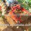 hand operated walking tractor driven potato harvester