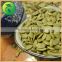 Shine Skin Pumpkin Seed Kernels In China Mainland