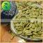 Crop Top 2015 Shine Skin Pumpkin Kernels With High Quality