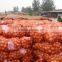 Chinese onion/ Yellow onion/Chinese fresh onion