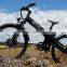 Seagull,cheap electric bike with pas sensor