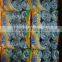 household cleaning products steel wire scourer for india market