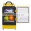 mini refrigerator AC&DC