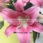 Colorful Factory Direct Supply Fragrant Flower Fresh Lily With 1.7~3.5KG/Bundle Natural Trumpet Flower Flower Named As Fresh Cut